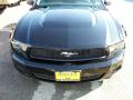 2010 Mustang V6 Premium Convertible #1 2010 Mustang V6 Premium Convertible #1