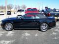 2010 Mustang V6 Premium Convertible #2 2010 Mustang V6 Premium Convertible #2