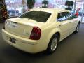2010 300 Touring #6