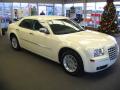 2010 300 Touring #7