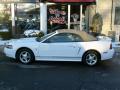 2001 Mustang V6 Convertible #2
