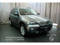 2007 X5 4.8i #6