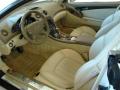 2008 SL 55 AMG Roadster #9