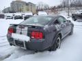 2007 Mustang GT Deluxe Coupe #2