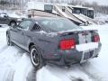 2007 Mustang GT Deluxe Coupe #4