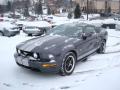 2007 Mustang GT Deluxe Coupe #6