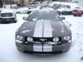 2007 Mustang GT Deluxe Coupe #7
