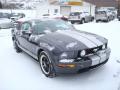 2007 Mustang GT Deluxe Coupe #8