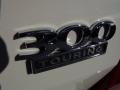 2010 300 Touring #8