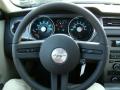 2010 Mustang V6 Coupe #16