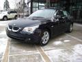 2008 5 Series 528xi Sedan #4