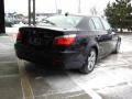 2008 5 Series 528xi Sedan #8