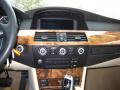 2008 5 Series 528xi Sedan #21