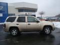 2006 TrailBlazer LS 4x4 #2