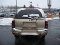 2006 TrailBlazer LS 4x4 #4