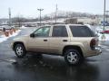 2006 TrailBlazer LS 4x4 #6