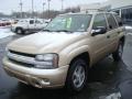 2006 TrailBlazer LS 4x4 #7