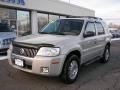 2007 Mariner Premier 4WD #1