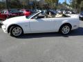 2007 Mustang GT Premium Convertible #2