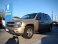 2006 TrailBlazer EXT LS 4x4 #4 2006 TrailBlazer EXT LS 4x4 #4