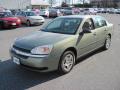 2005 Malibu Sedan #3