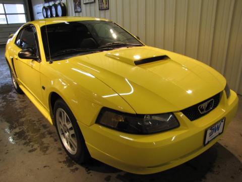 Zinc Yellow Ford Mustang GT Coupe.  Click to enlarge.
