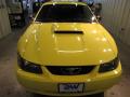 2003 Mustang GT Coupe #5
