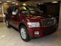 2010 QX 56 #3
