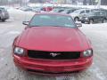2007 Mustang V6 Deluxe Coupe #3