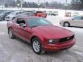2007 Mustang V6 Deluxe Coupe #4