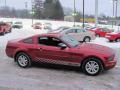 2007 Mustang V6 Deluxe Coupe #5
