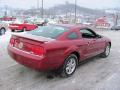 2007 Mustang V6 Deluxe Coupe #11