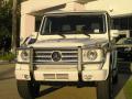 2010 G 550 #2 2010 G 550 #2