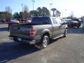 2009 F150 XLT SuperCrew #5