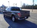 2009 F150 XLT SuperCrew #7