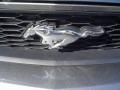 2010 Mustang V6 Convertible #13