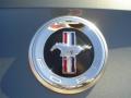 2010 Mustang V6 Convertible #15