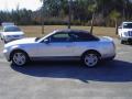 2010 Mustang V6 Convertible #8