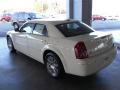 2010 300 Touring #2