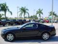 2010 Mustang V6 Coupe #6