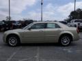 2010 300 Touring #5