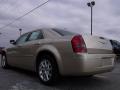 2010 300 Touring #6