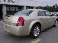2010 300 Touring #8