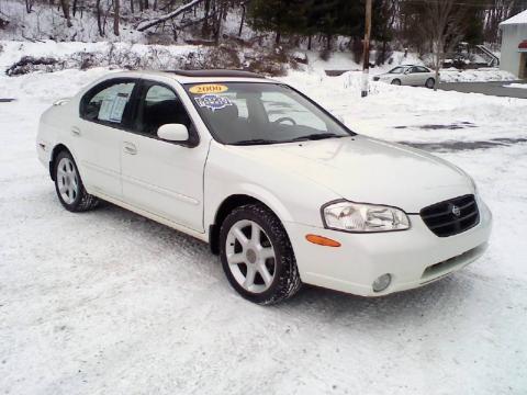 Icelandic Pearl Nissan Maxima SE.  Click to enlarge.
