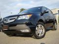 2007 MDX Technology #1