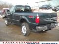 2010 F350 Super Duty XLT Regular Cab 4x4 #10 2010 F350 Super Duty XLT Regular Cab 4x4 #10