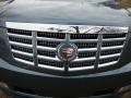 2009 Escalade AWD #24