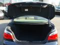 2007 5 Series 525i Sedan #18