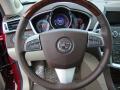 2010 SRX V6 #17