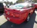 2006 Mustang GT Deluxe Coupe #10